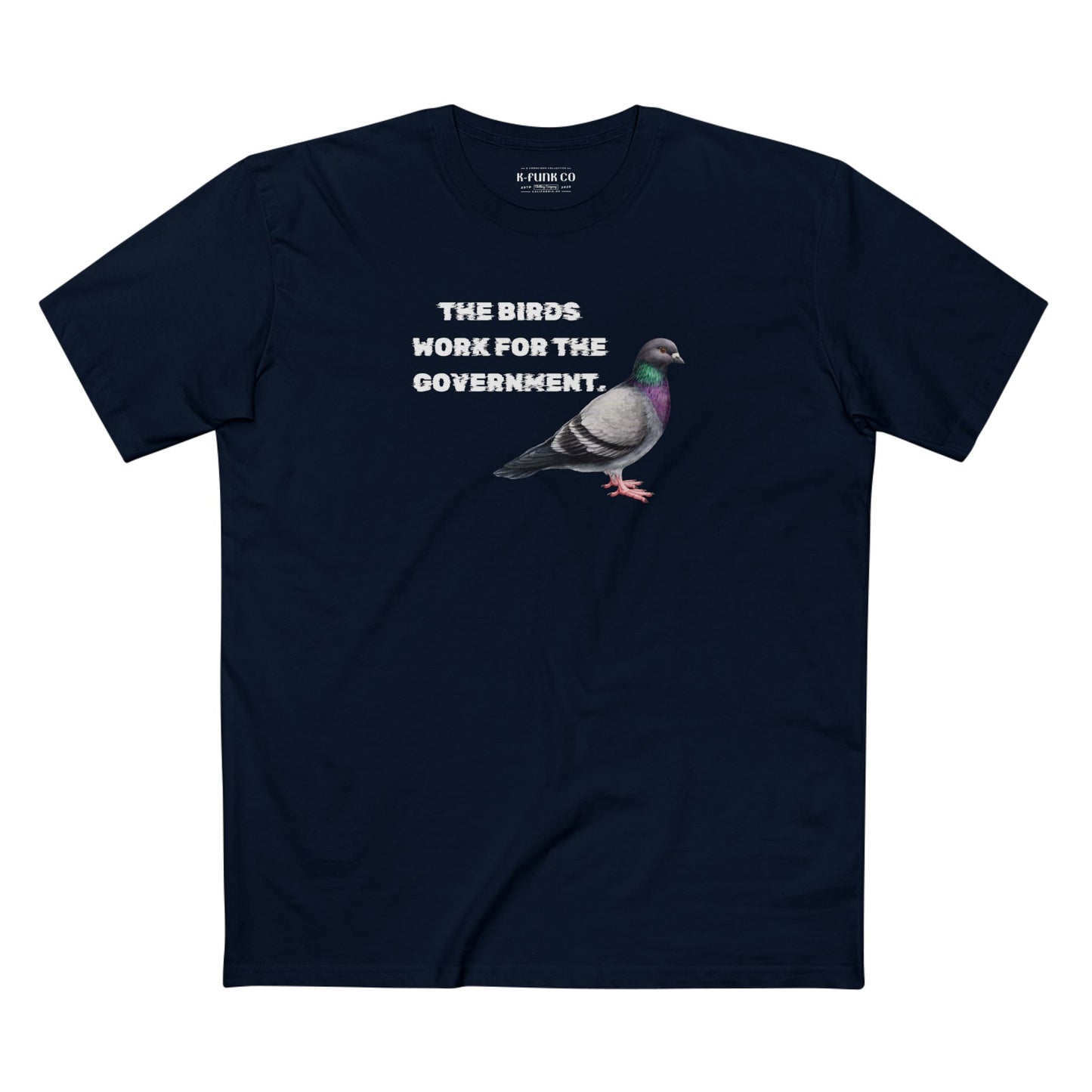 The Birds Work For The Government Tee, Simulation Apparel, Life is a simulation, Conspiracy theory shirt,