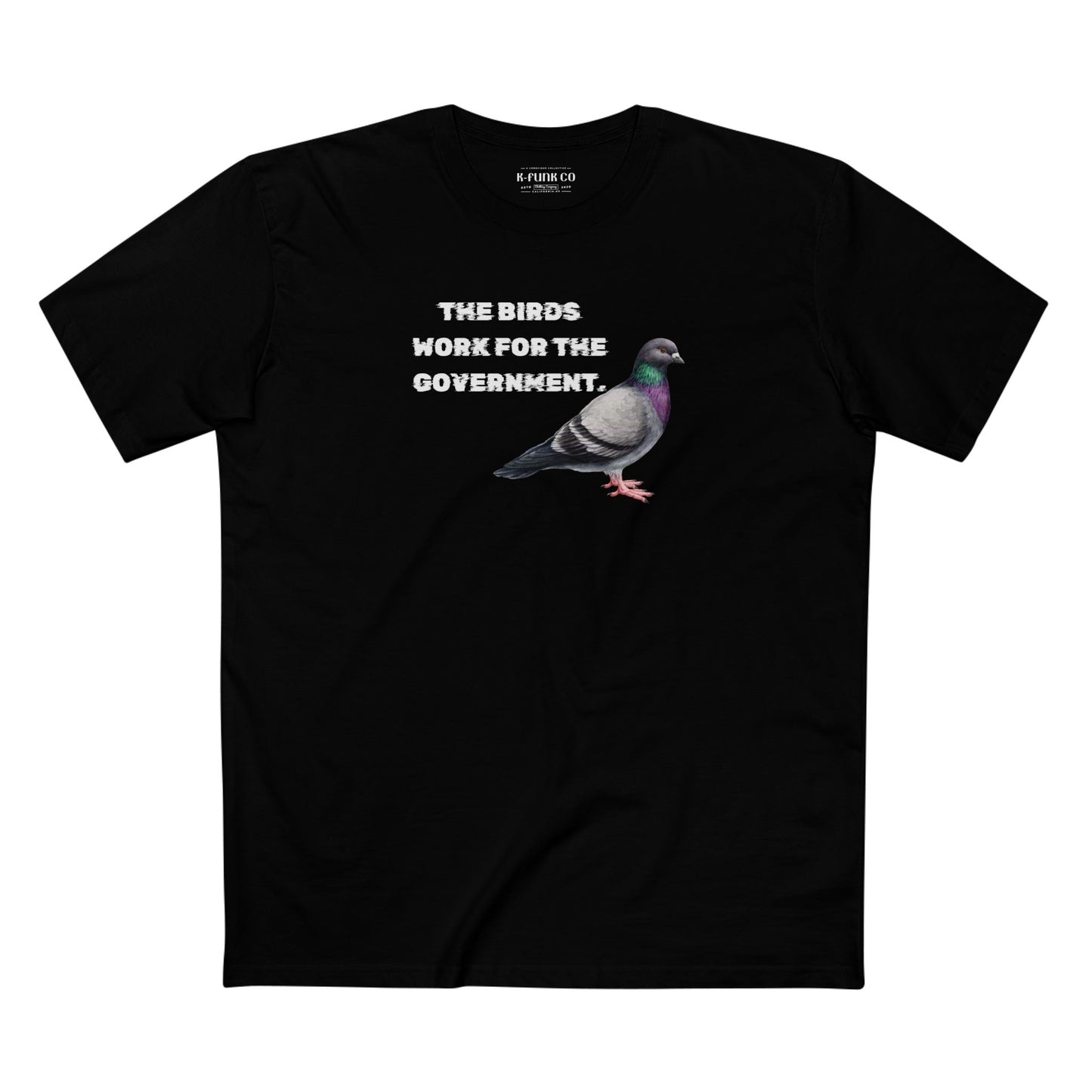 The Birds Work For The Government Tee, Simulation Apparel, Life is a simulation, Conspiracy theory shirt,