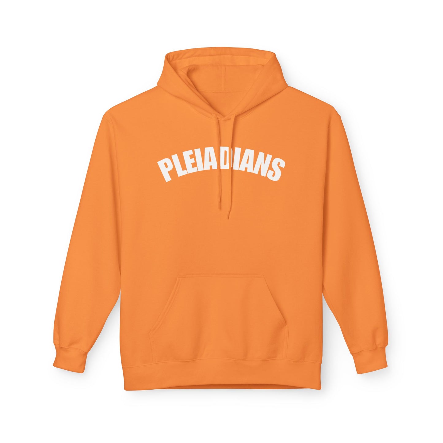 Pleiadians Hoodie