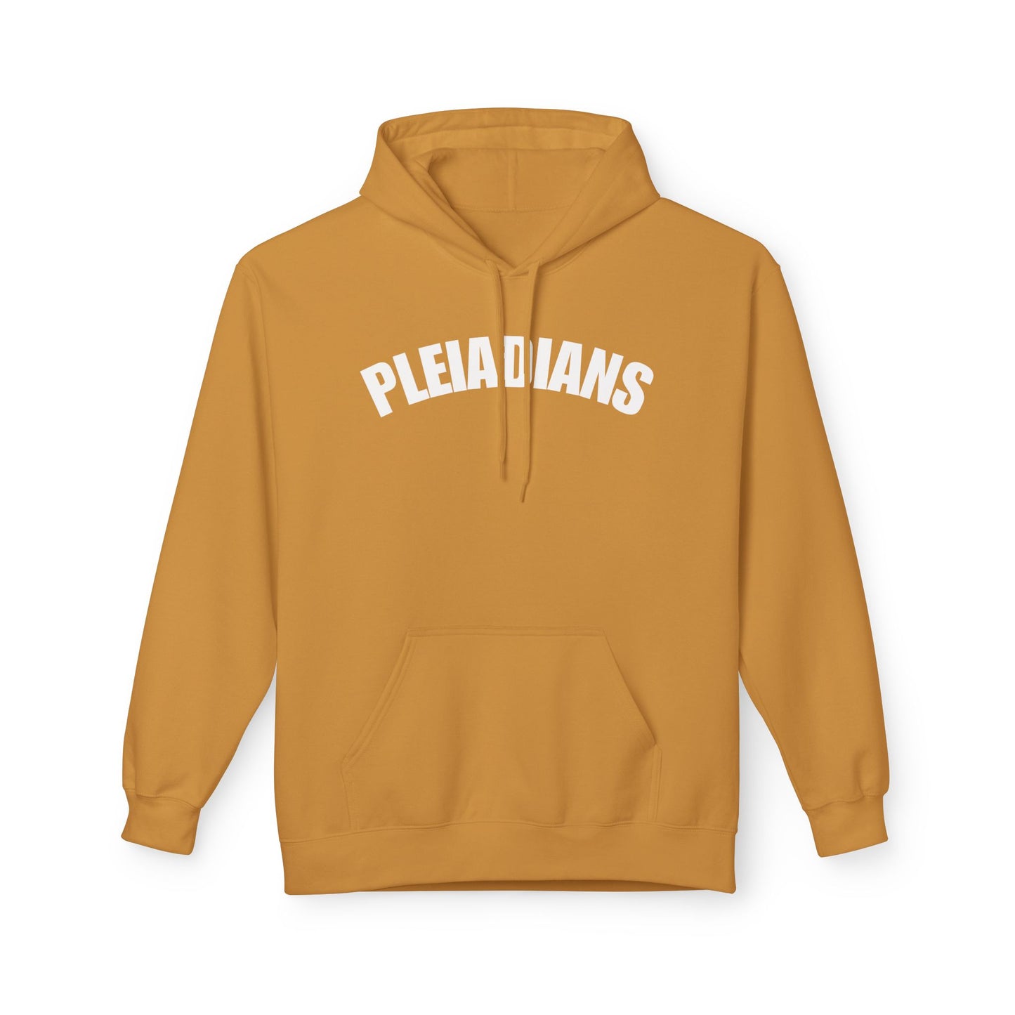 Pleiadians Hoodie
