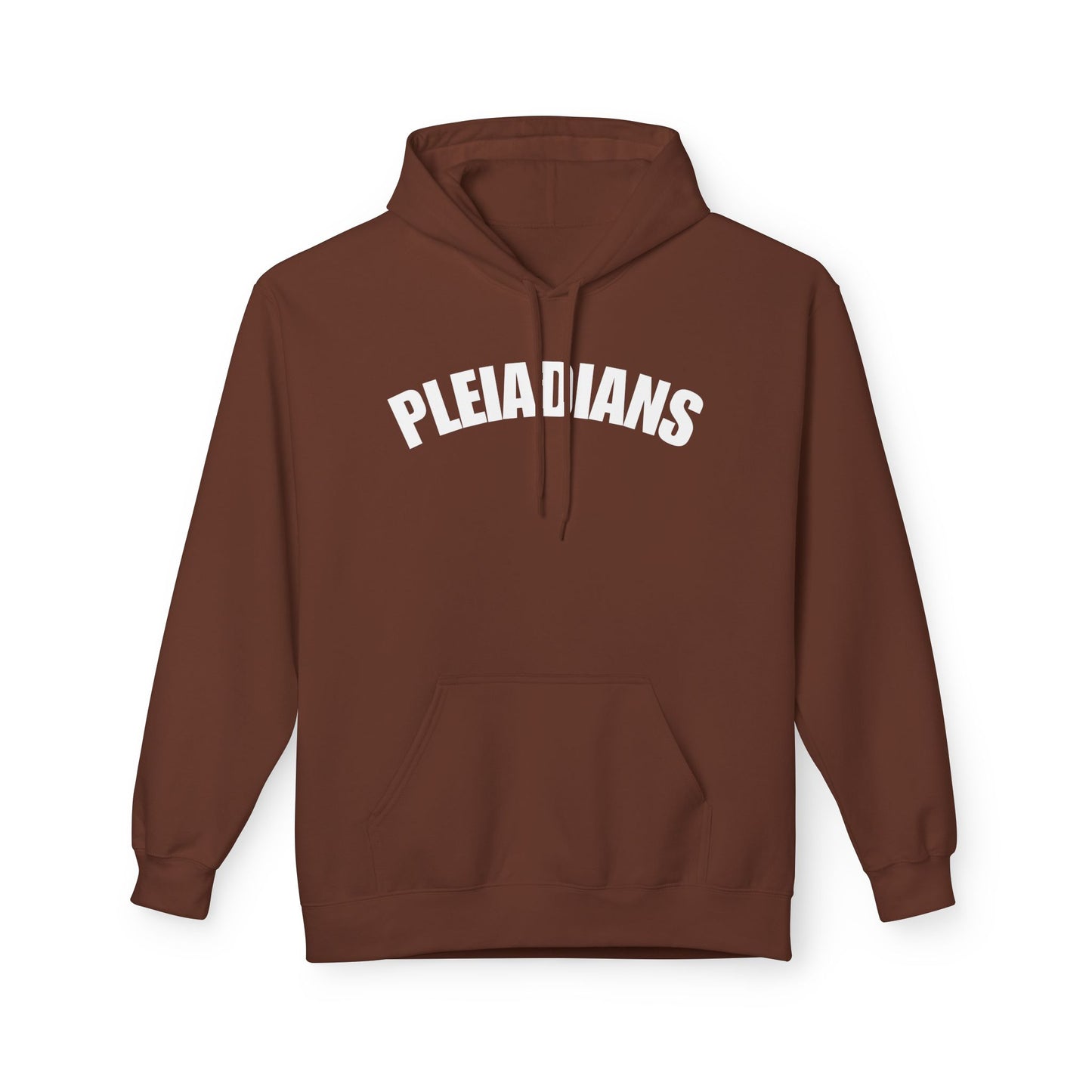 Pleiadians Hoodie