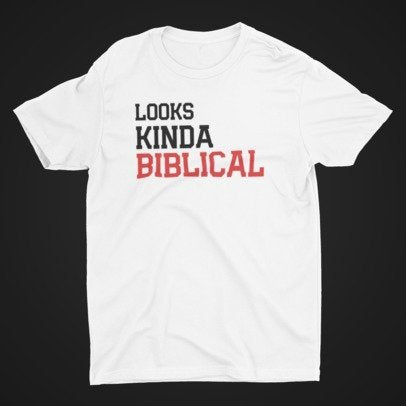 Looks Kinda Biblical Black/Red Tee
